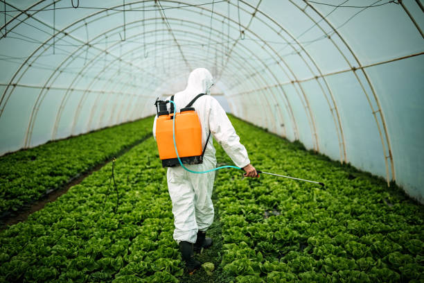Best Residential Pest Control  in Trenton, NJ