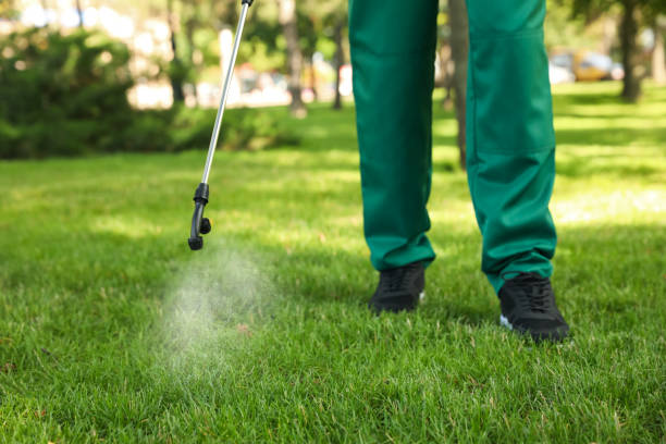 Pest Control for Restaurants in Trenton, NJ