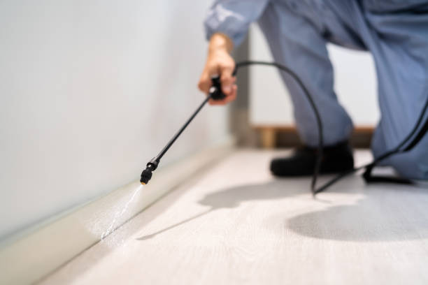 Best Mosquito Control Services  in Trenton, NJ