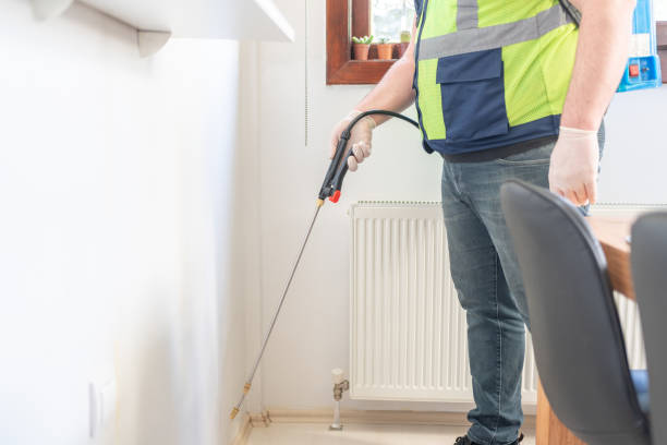 Wasp Removal Services in Trenton, NJ